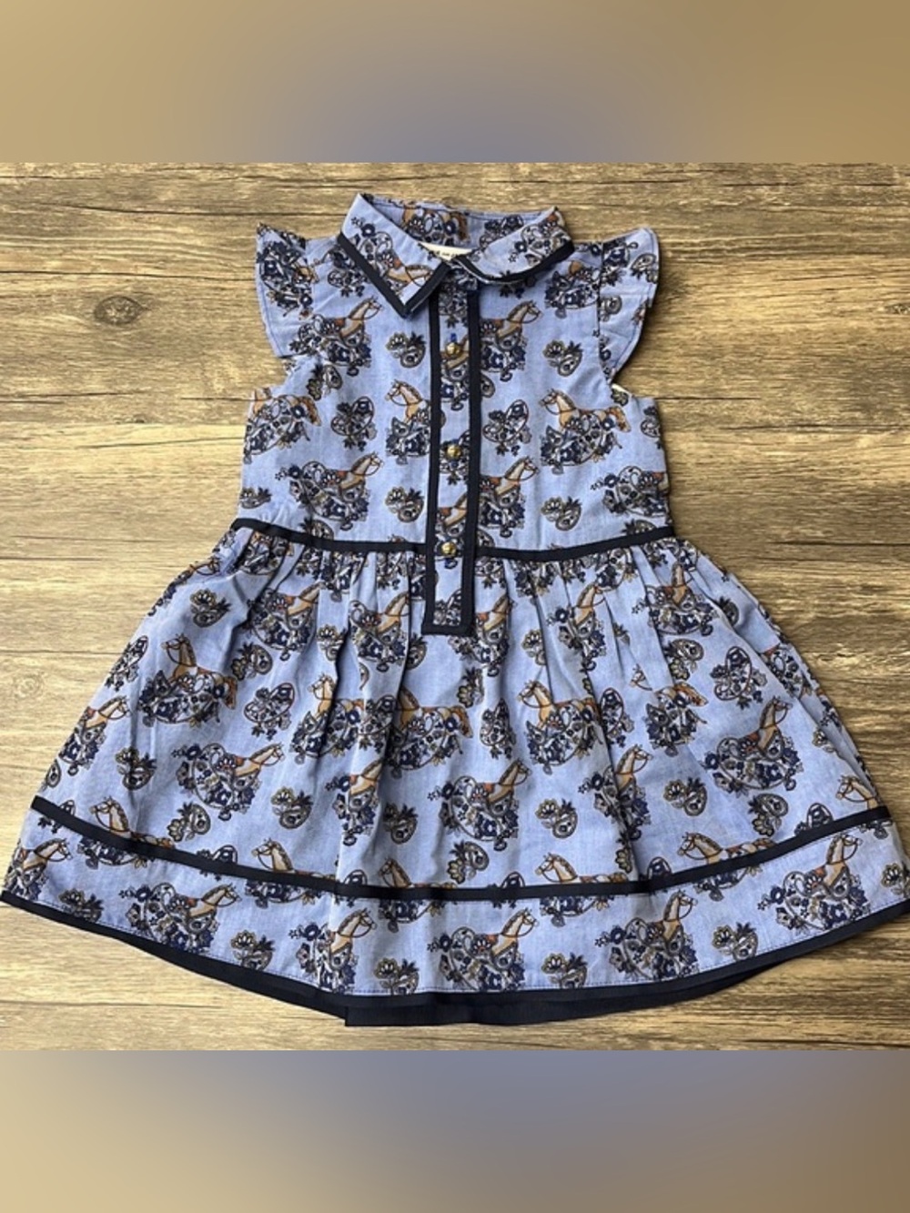 Janie And Jack Lined Paisley Carousel Horse Cotton Dress Size 3 Whimsical Party